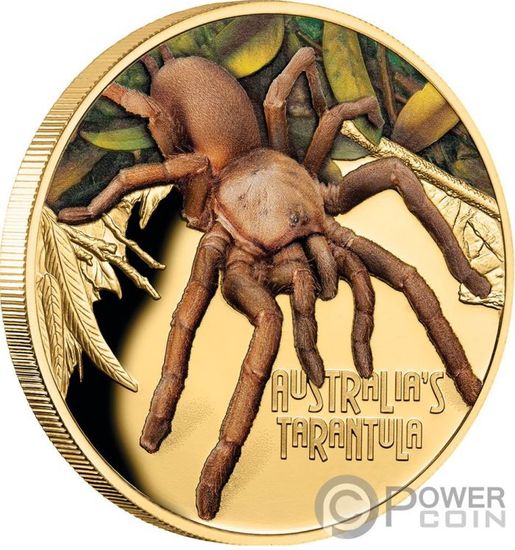 Золотая монета «Тарантул» («TARANTULA») Тувалу 2020