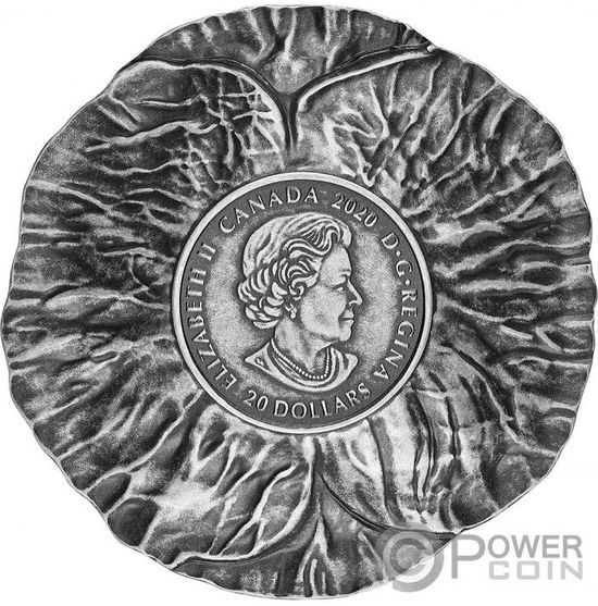 Монета «Памятный день» («REMEMBRANCE DAY») Канада 2020