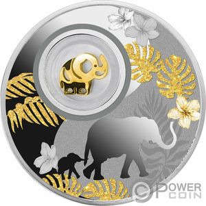 Монета «Счастливый слоник» Камерун 2020