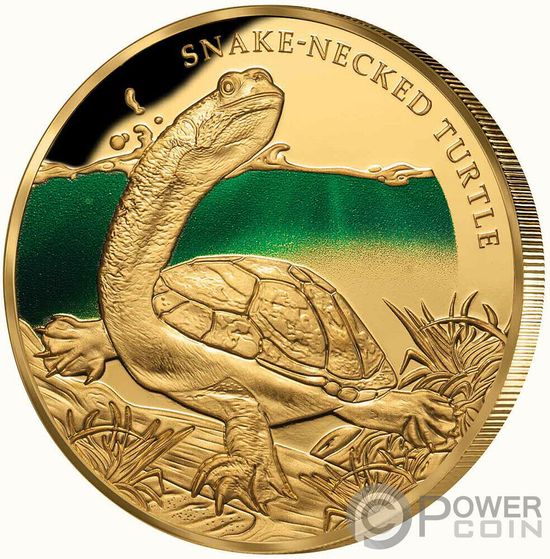 Монета «Змеиношеяя черепаха» (“SNAKE NECK TURTLE”) Ниуэ 2020